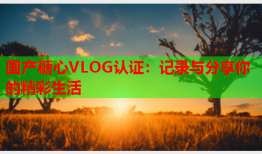 国产糖心VLOG认证：记录与分享你的精彩生活