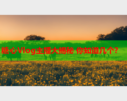 糖心Vlog主播大揭秘 你知道几个？