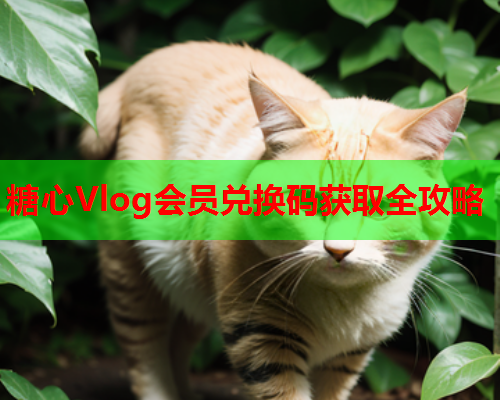 糖心Vlog会员兑换码获取全攻略